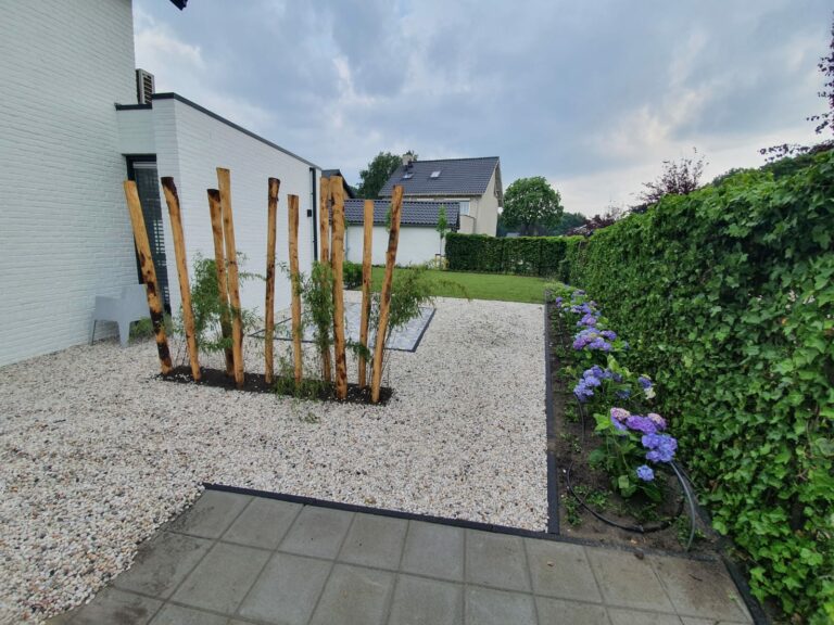 WhatsApp Image 2022-01-02 at 09.43.28 (6)